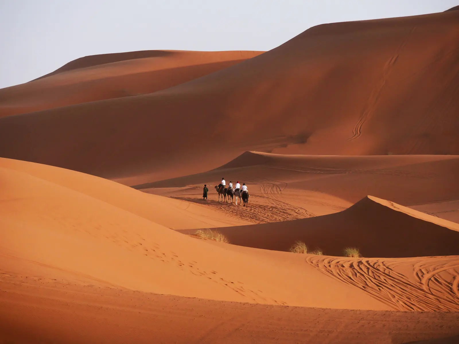 Petit groupe de voyageurs à dos de dromadaire accompagné à pied entre de grandes dunes