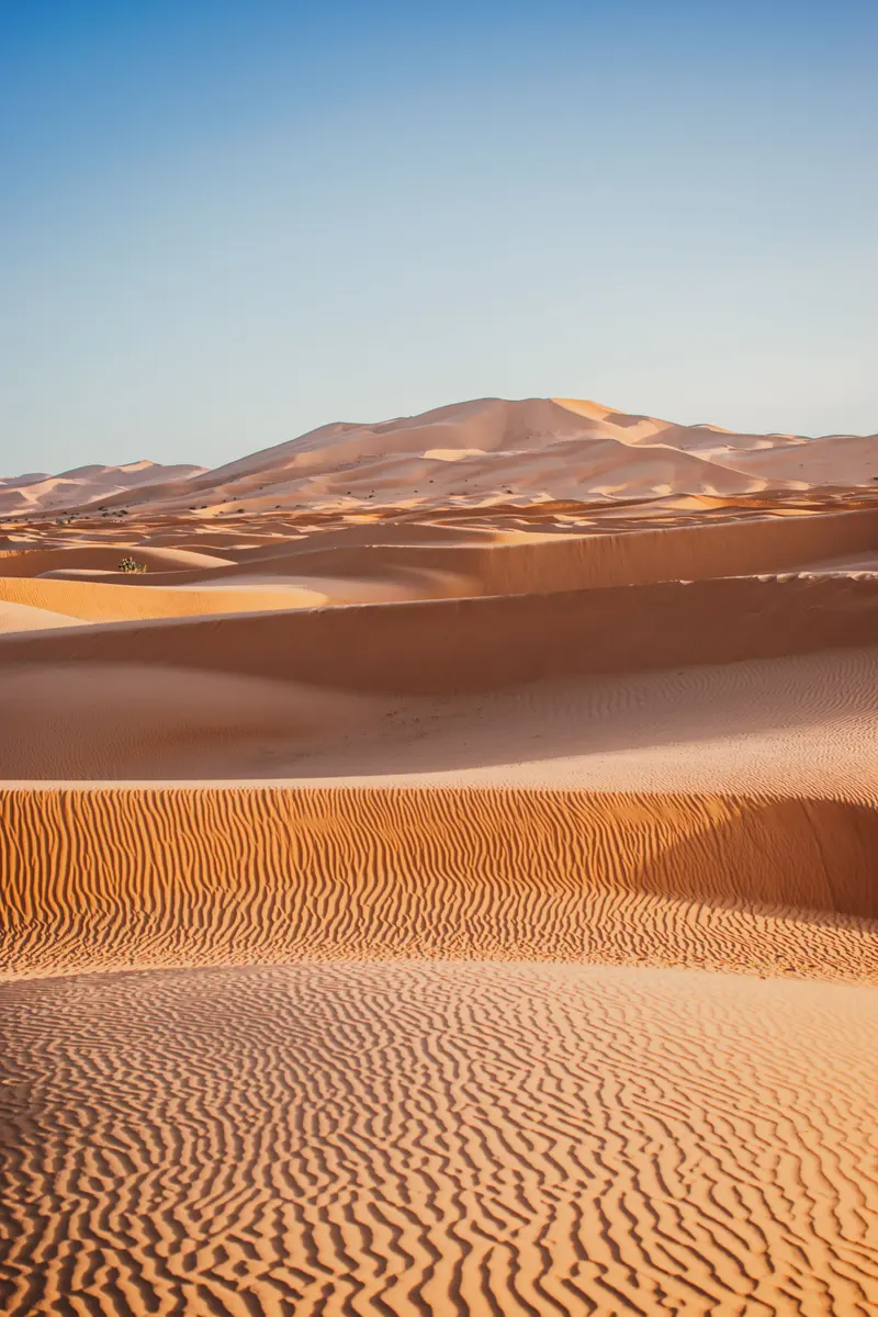 Dunes de sable doré aux crêtes ondulées sous un ciel bleu