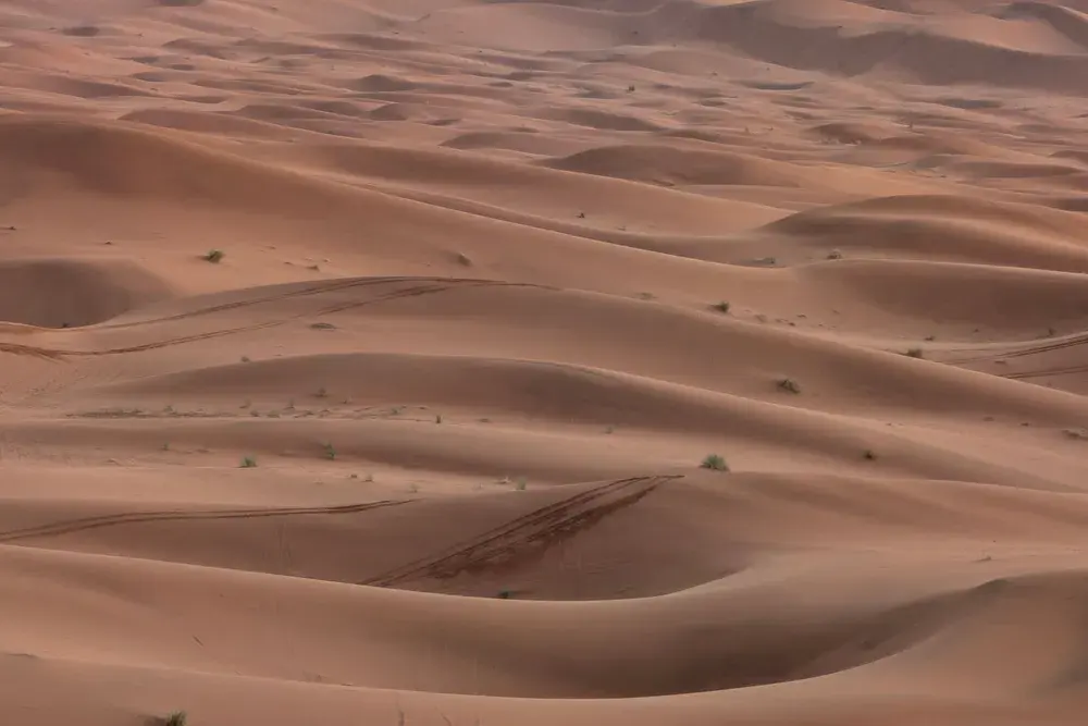 Dunes de sable ondulées avec des traces de pistes