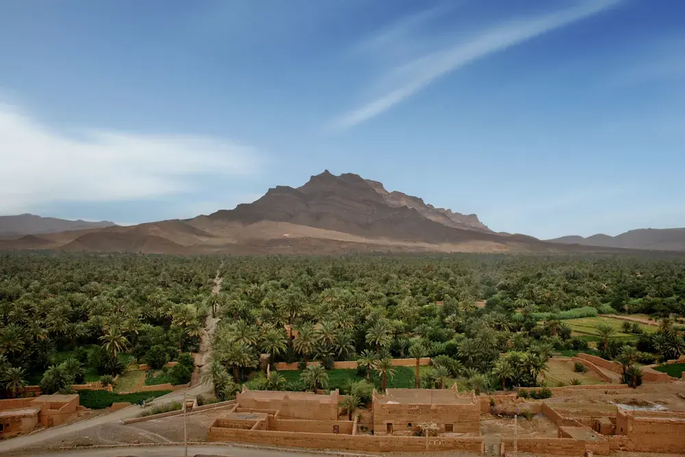 Palmeraie entourée de montagnes et de maisons en terre