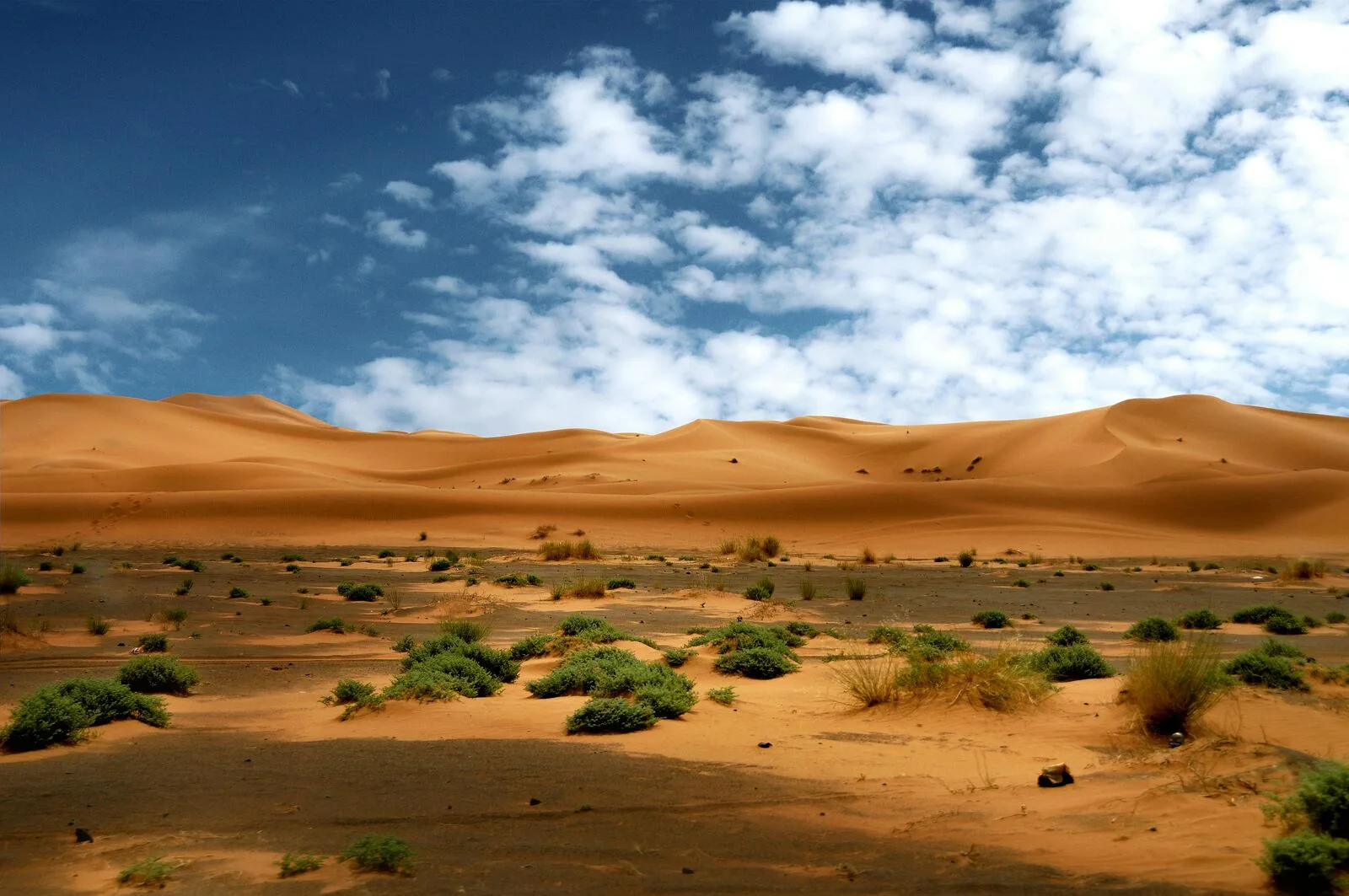 Raid 4x4 à Merzouga : pourquoi passer par une agence spécialisée change tout