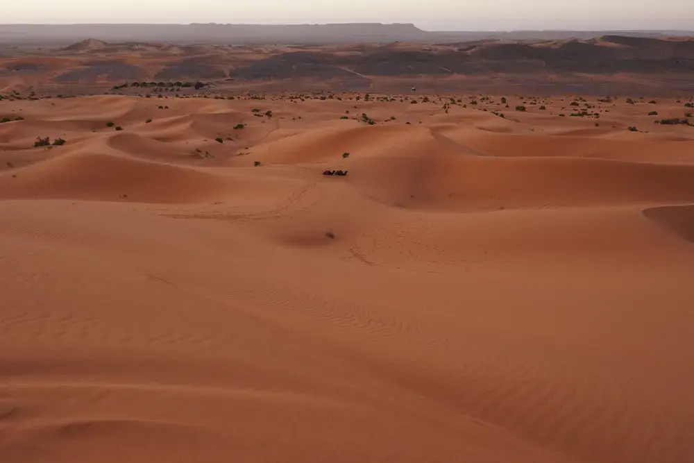 Dunes de sable sous un ciel aux teintes rosées