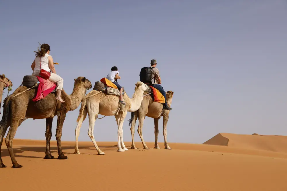 Voyageurs en balade à dos de dromadaire dans les dunes